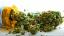 Esquizofrenia y hierba: ¿es útil o perjudicial el cannabis?