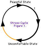 El ciclo de estrés se está moviendo de un estado pacífico a un estado incómodo y de regreso a un estado pacífico.