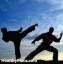 Enfermedad mental y artes marciales: una terapia interesante